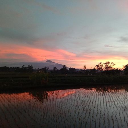 Rumah Ukhi Cebongan Bagian luar foto